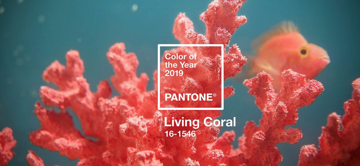 Living Coral - Pantone Colour of the Year 2019 - DesignStreet Blog